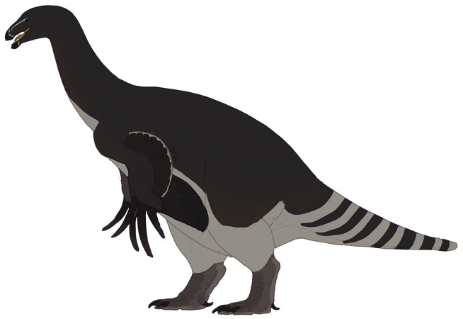 Fullbody Design