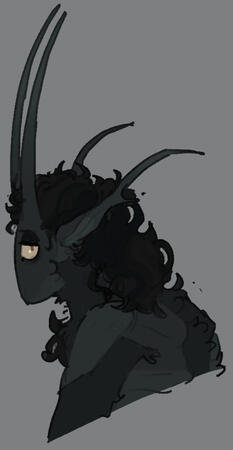 Headshot / Design