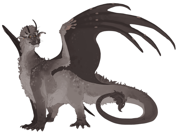 Fullbody / Design