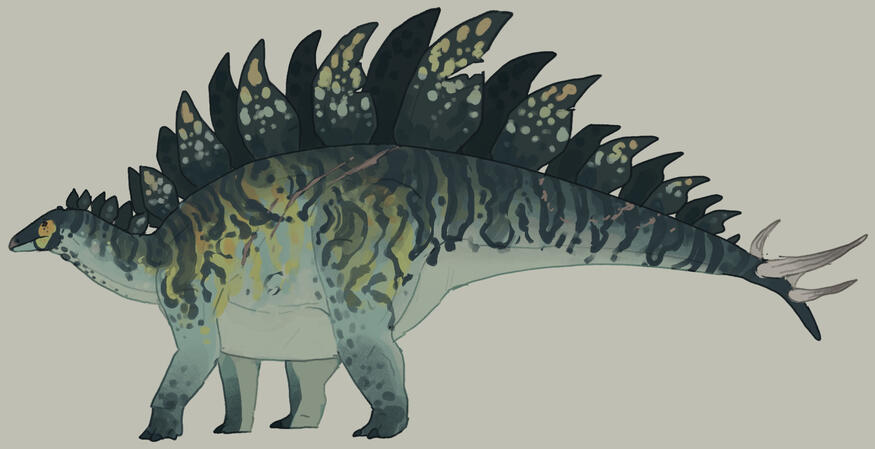 Fullbody